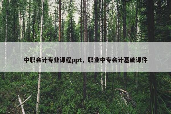 中职会计专业课程ppt，职业中专会计基础课件