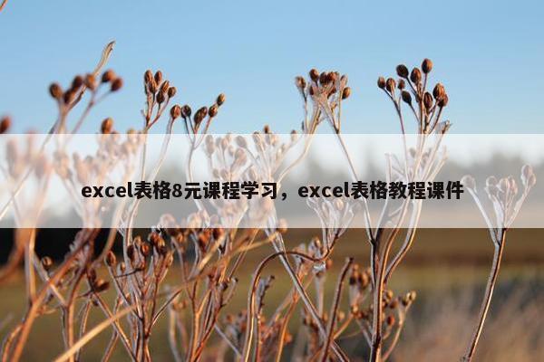 excel表格8元课程学习，excel表格教程课件