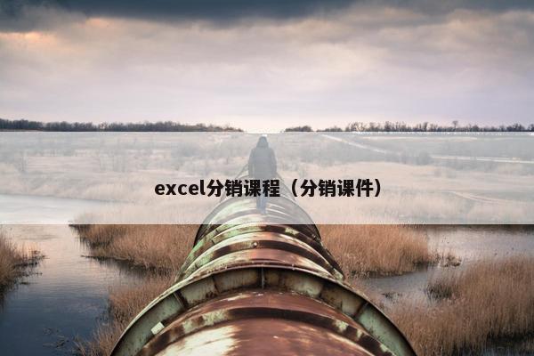 excel分销课程（分销课件）