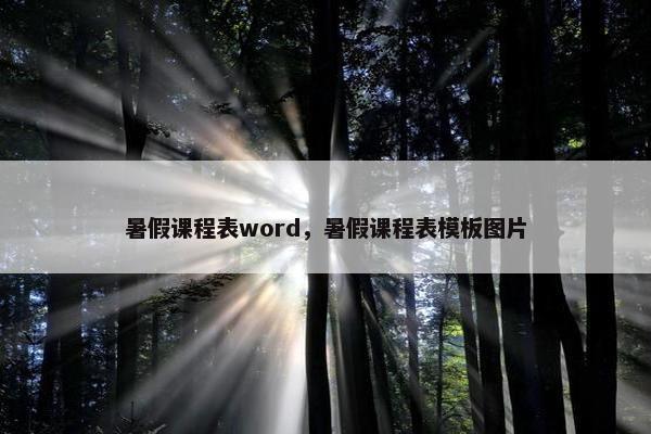 暑假课程表word，暑假课程表模板图片
