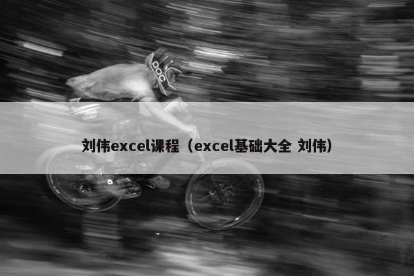 刘伟excel课程（excel基础大全 刘伟）
