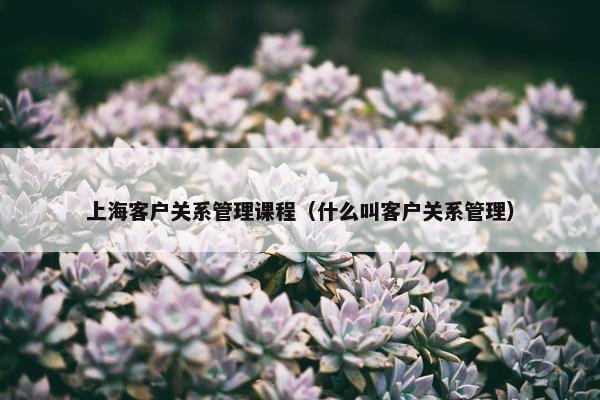上海客户关系管理课程（什么叫客户关系管理）