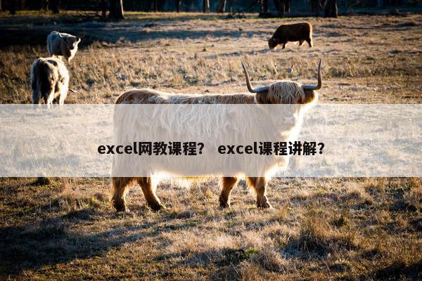 excel网教课程？ excel课程讲解？