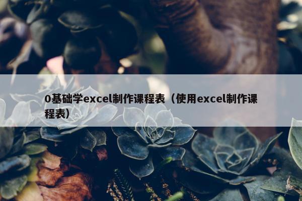 0基础学excel制作课程表（使用excel制作课程表）