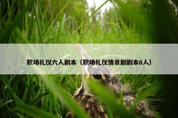 职场礼仪六人剧本（职场礼仪情景剧剧本6人）