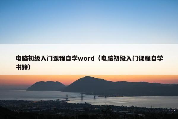 电脑初级入门课程自学word（电脑初级入门课程自学书籍）