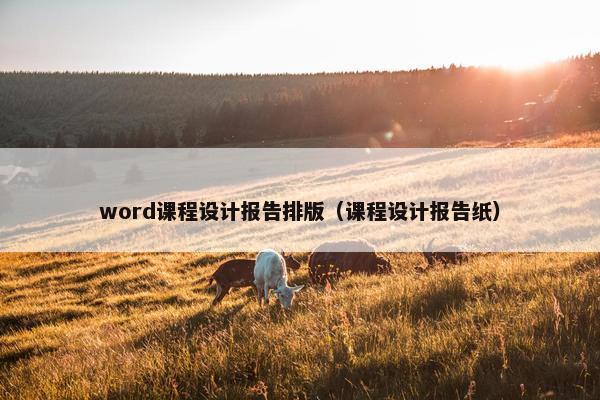 word课程设计报告排版（课程设计报告纸）