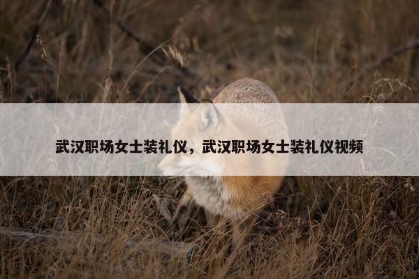 武汉职场女士装礼仪，武汉职场女士装礼仪视频