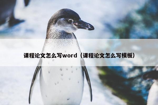 课程论文怎么写word（课程论文怎么写模板）