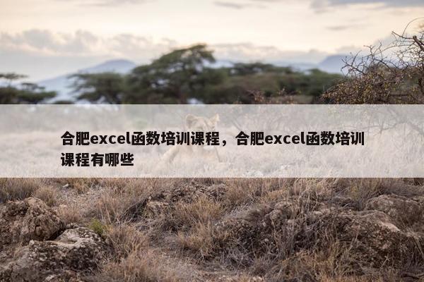 合肥excel函数培训课程，合肥excel函数培训课程有哪些