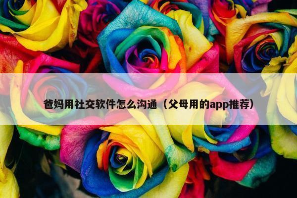 爸妈用社交软件怎么沟通（父母用的app推荐）