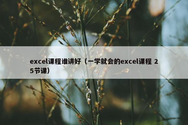 excel课程谁讲好（一学就会的excel课程 25节课）