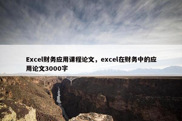 Excel财务应用课程论文，excel在财务中的应用论文3000字