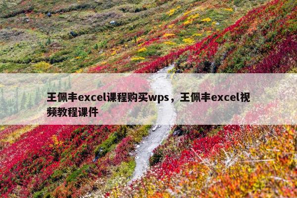 王佩丰excel课程购买wps，王佩丰excel视频教程课件