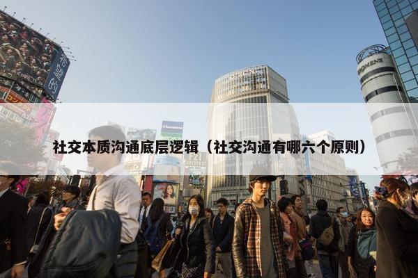 社交本质沟通底层逻辑（社交沟通有哪六个原则）