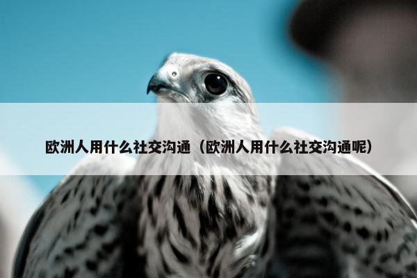 欧洲人用什么社交沟通（欧洲人用什么社交沟通呢）
