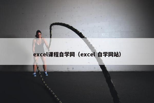 excel课程自学网（excel 自学网站）