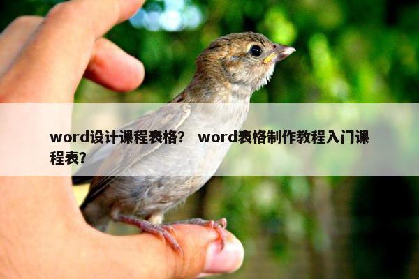 word设计课程表格？ word表格制作教程入门课程表？