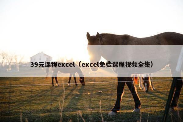 39元课程excel（excel免费课程视频全集）