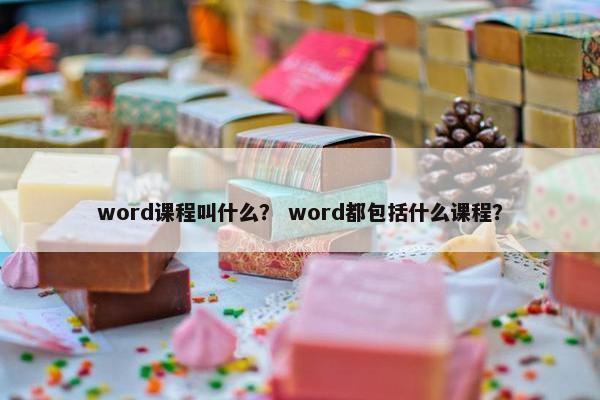 word课程叫什么？ word都包括什么课程？