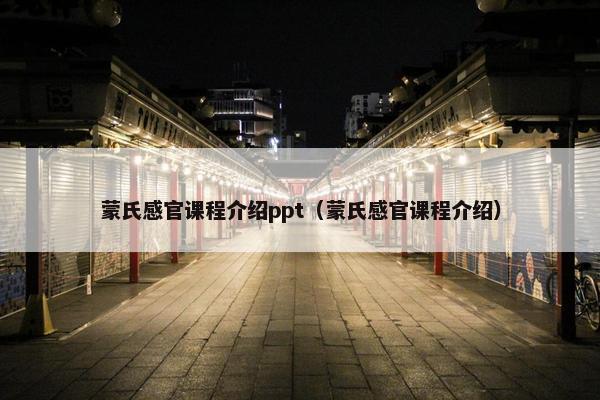 蒙氏感官课程介绍ppt（蒙氏感官课程介绍）