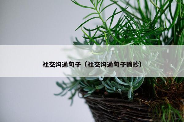 社交沟通句子（社交沟通句子摘抄）
