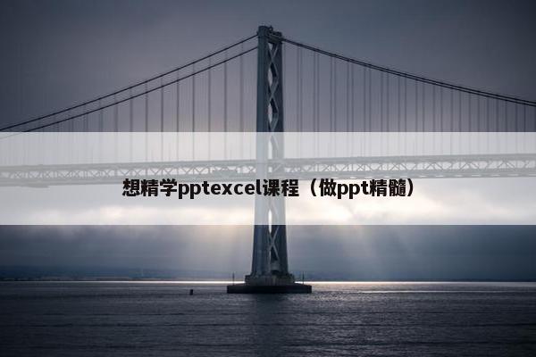 想精学pptexcel课程（做ppt精髓）