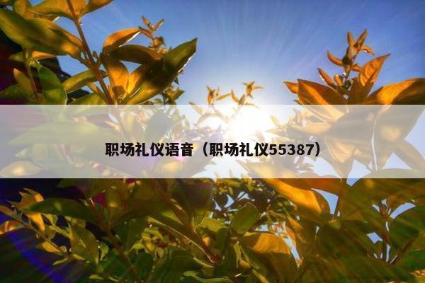 职场礼仪语音（职场礼仪55387）