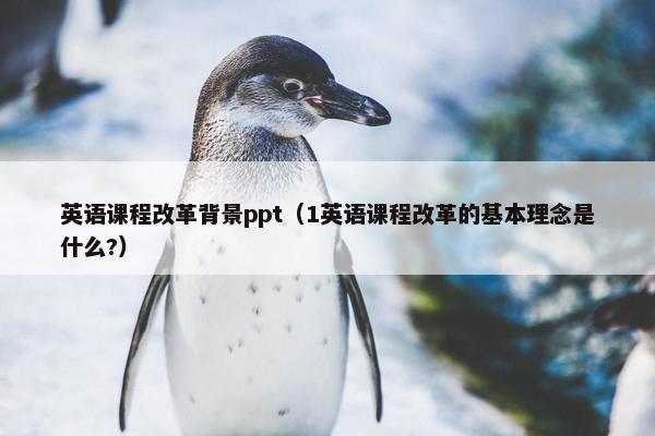 英语课程改革背景ppt（1英语课程改革的基本理念是什么?）