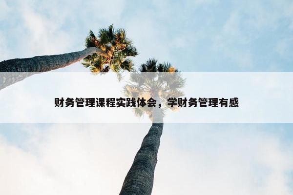 财务管理课程实践体会，学财务管理有感
