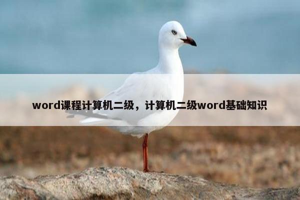 word课程计算机二级，计算机二级word基础知识