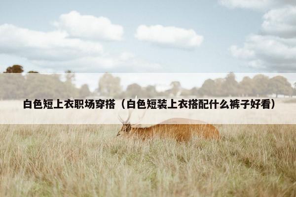 白色短上衣职场穿搭（白色短装上衣搭配什么裤子好看）
