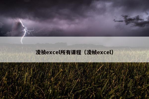 凌祯excel所有课程（凌帧excel）