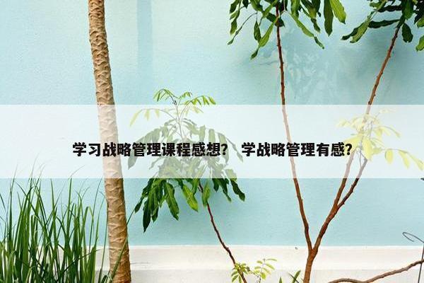 学习战略管理课程感想？ 学战略管理有感？