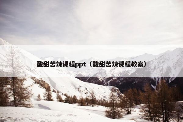 酸甜苦辣课程ppt（酸甜苦辣课程教案）