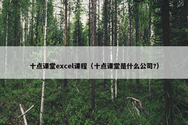 十点课堂excel课程（十点课堂是什么公司?）