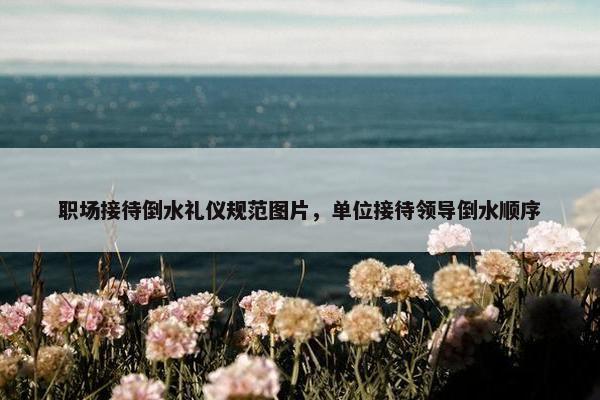 职场接待倒水礼仪规范图片，单位接待领导倒水顺序