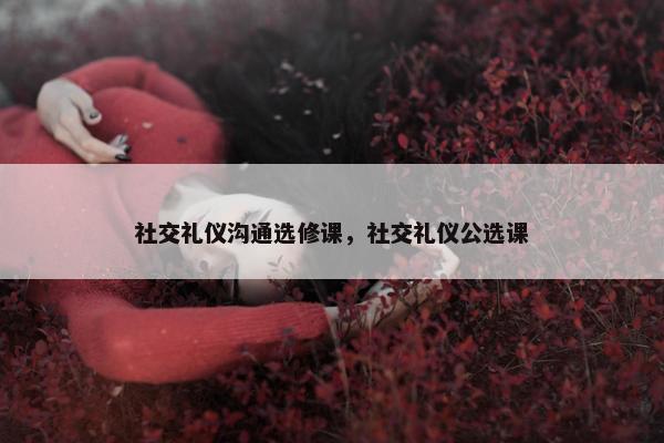 社交礼仪沟通选修课，社交礼仪公选课