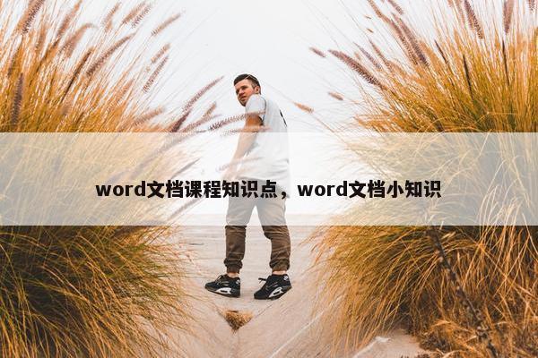 word文档课程知识点，word文档小知识