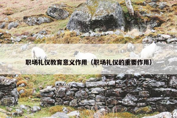 职场礼仪教育意义作用（职场礼仪的重要作用）