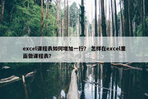 excel课程表如何增加一行？ 怎样在excel里面做课程表？
