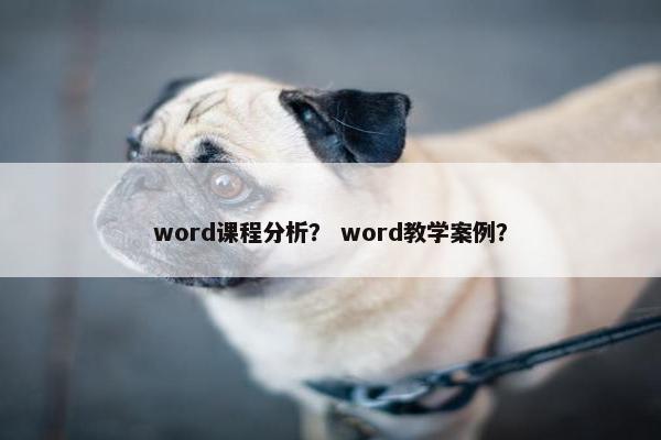 word课程分析？ word教学案例？