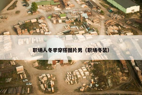 职场人冬季穿搭图片男（职场冬装）