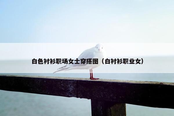 白色衬衫职场女士穿搭图（白衬衫职业女）