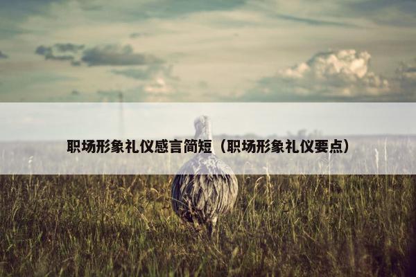 职场形象礼仪感言简短（职场形象礼仪要点）