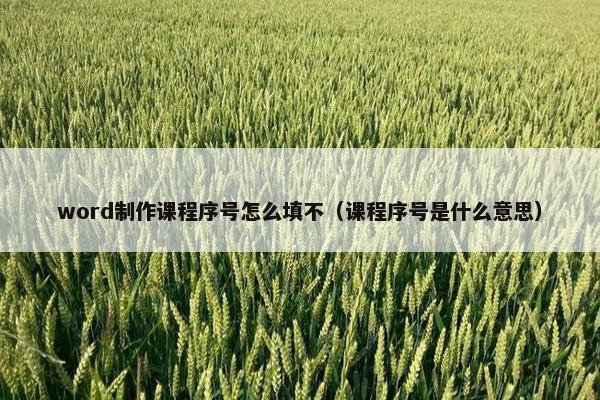 word制作课程序号怎么填不（课程序号是什么意思）