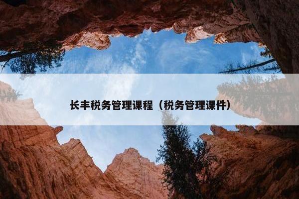 长丰税务管理课程（税务管理课件）