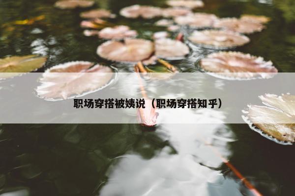 职场穿搭被姨说（职场穿搭知乎）