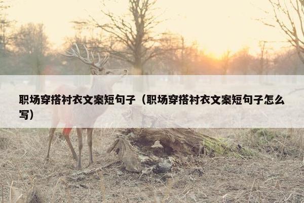 职场穿搭衬衣文案短句子（职场穿搭衬衣文案短句子怎么写）