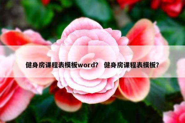 健身房课程表模板word？ 健身房课程表模板？